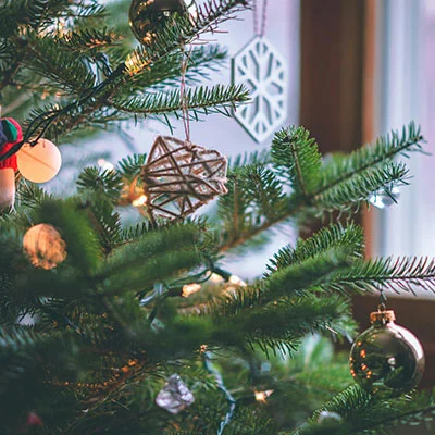 Top V2ray节点推荐 | 3月19日21.5M/S|免费Trojan节点/V2ray节点/Shadowrocket节点/Singbox节点/Clash节点/SSR节点节点推荐，在线Clash机场梯子购买推荐