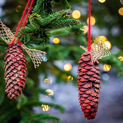 Top V2ray节点推荐 | 3月18日20.9M/S|免费Clash节点/Singbox节点/Shadowrocket节点/SSR节点/Trojan节点/V2ray节点节点推荐，在线Clash机场梯子购买推荐